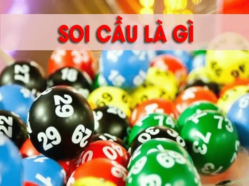 khai-niem-soi-cau-lo-de-la-gi-min_11zon